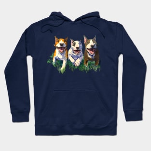 Three Amigos Bull Terrier Puppies Hoodie